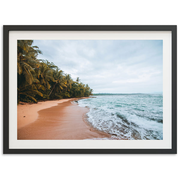 a picture of a beach with palm trees