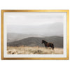 a horse standing in a field with mountains in the background