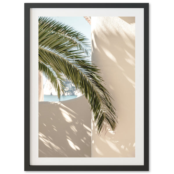 a palm tree casts a shadow on a wall