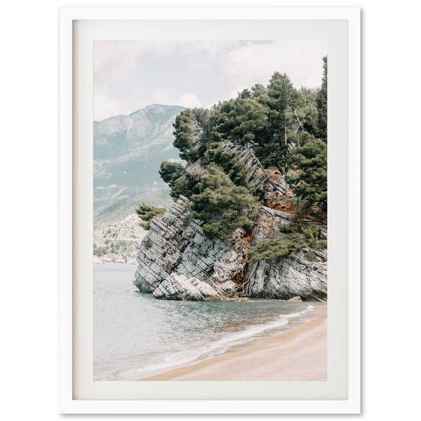 a picture of a beach with trees on it