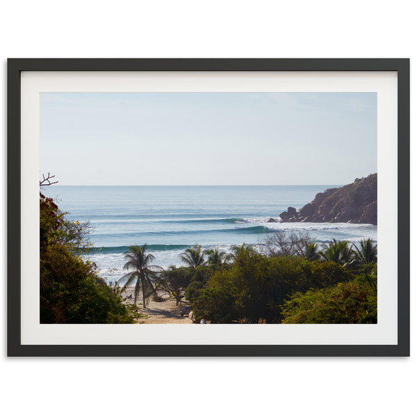 a picture of a beach with palm trees