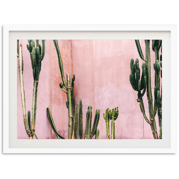 a picture of a cactus against a pink wall