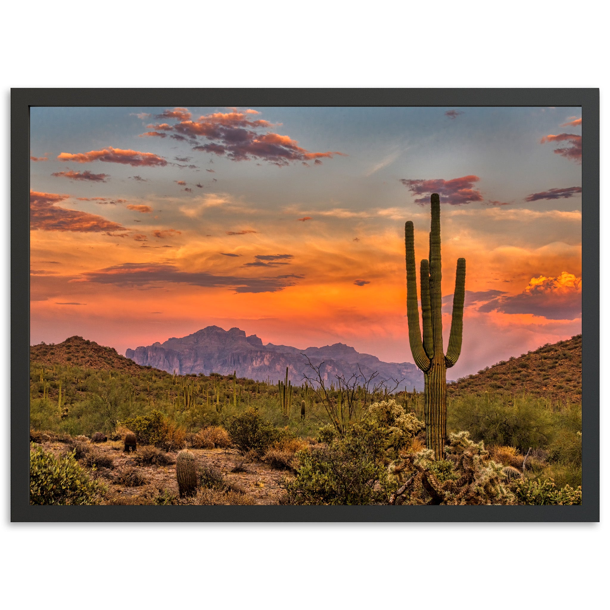 a desert scene with a cactus and mountains in the background