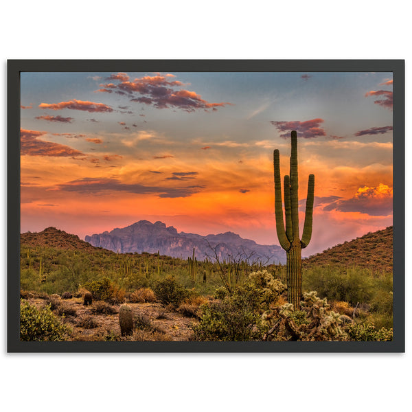 a desert scene with a cactus and mountains in the background