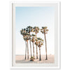 a group of palm trees on a beach