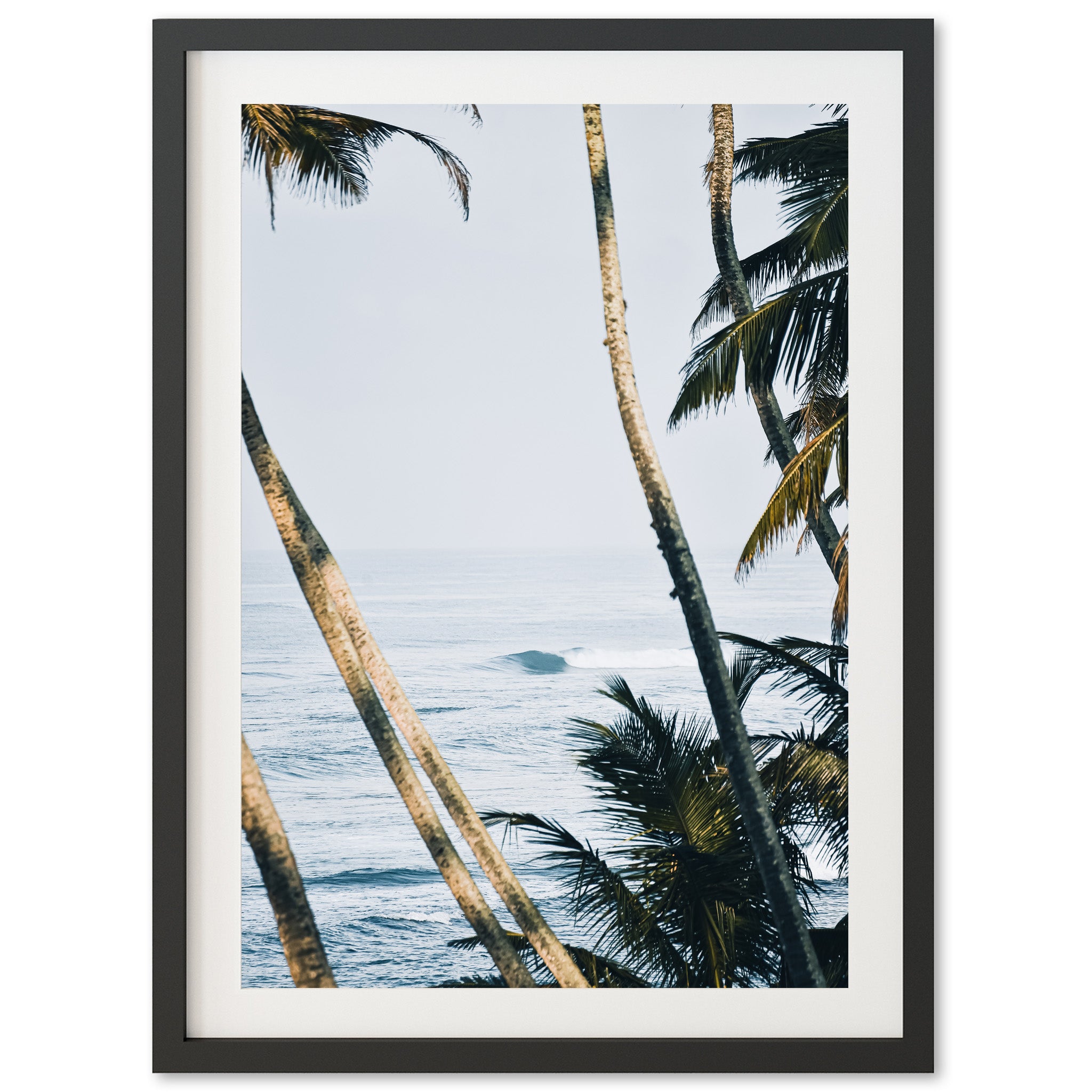 a framed photograph of palm trees and the ocean