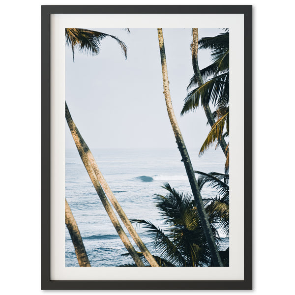 a framed photograph of palm trees and the ocean