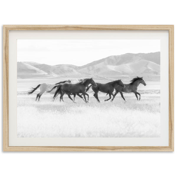 a black and white photo of three horses running in a field