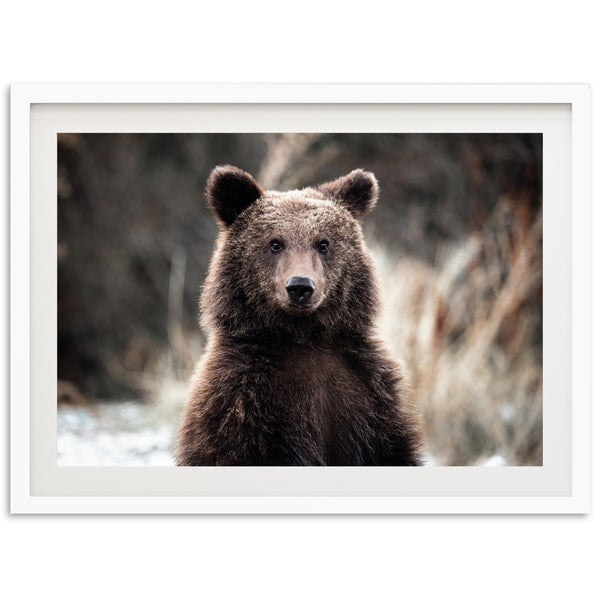 a picture of a brown bear in a white frame