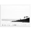 a black and white photo of a beach with a lone tree