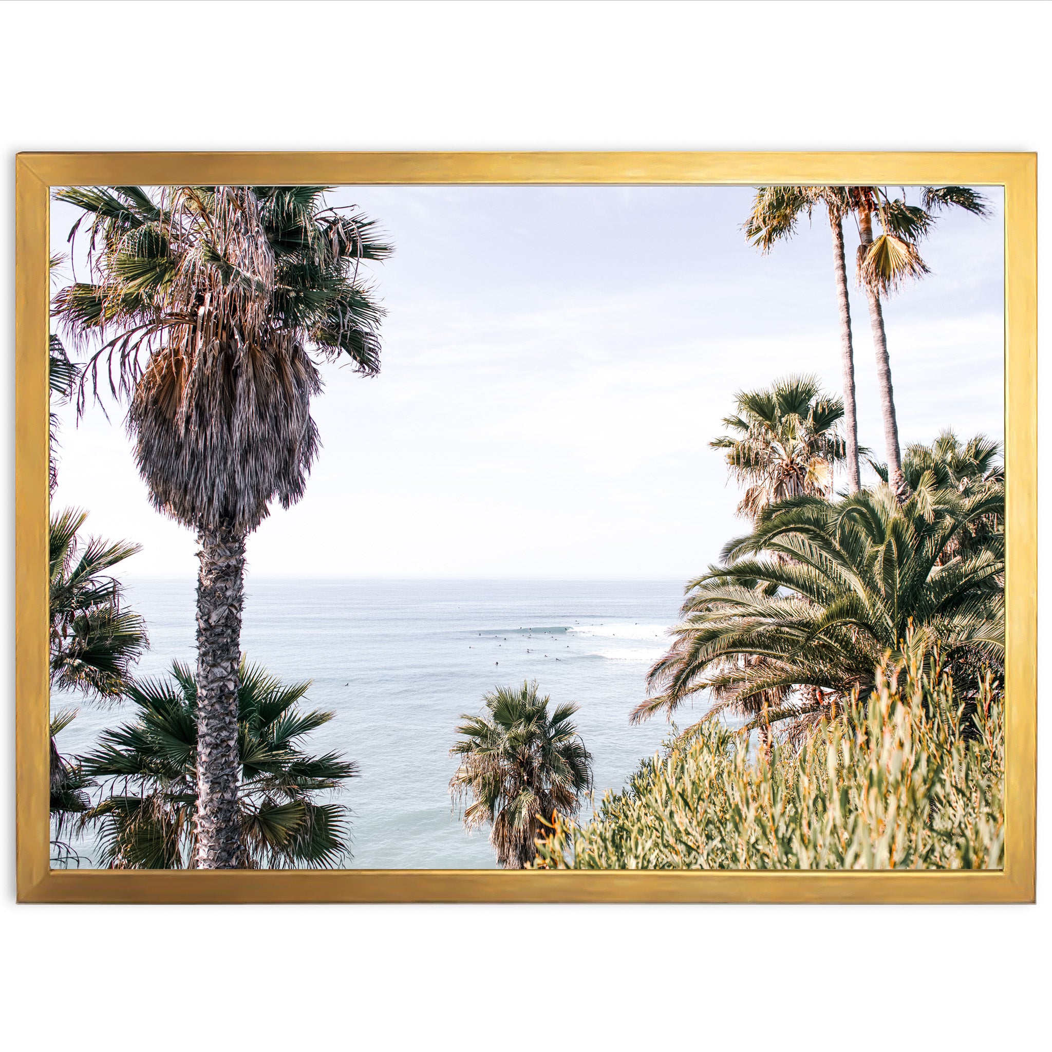 a picture of palm trees and the ocean