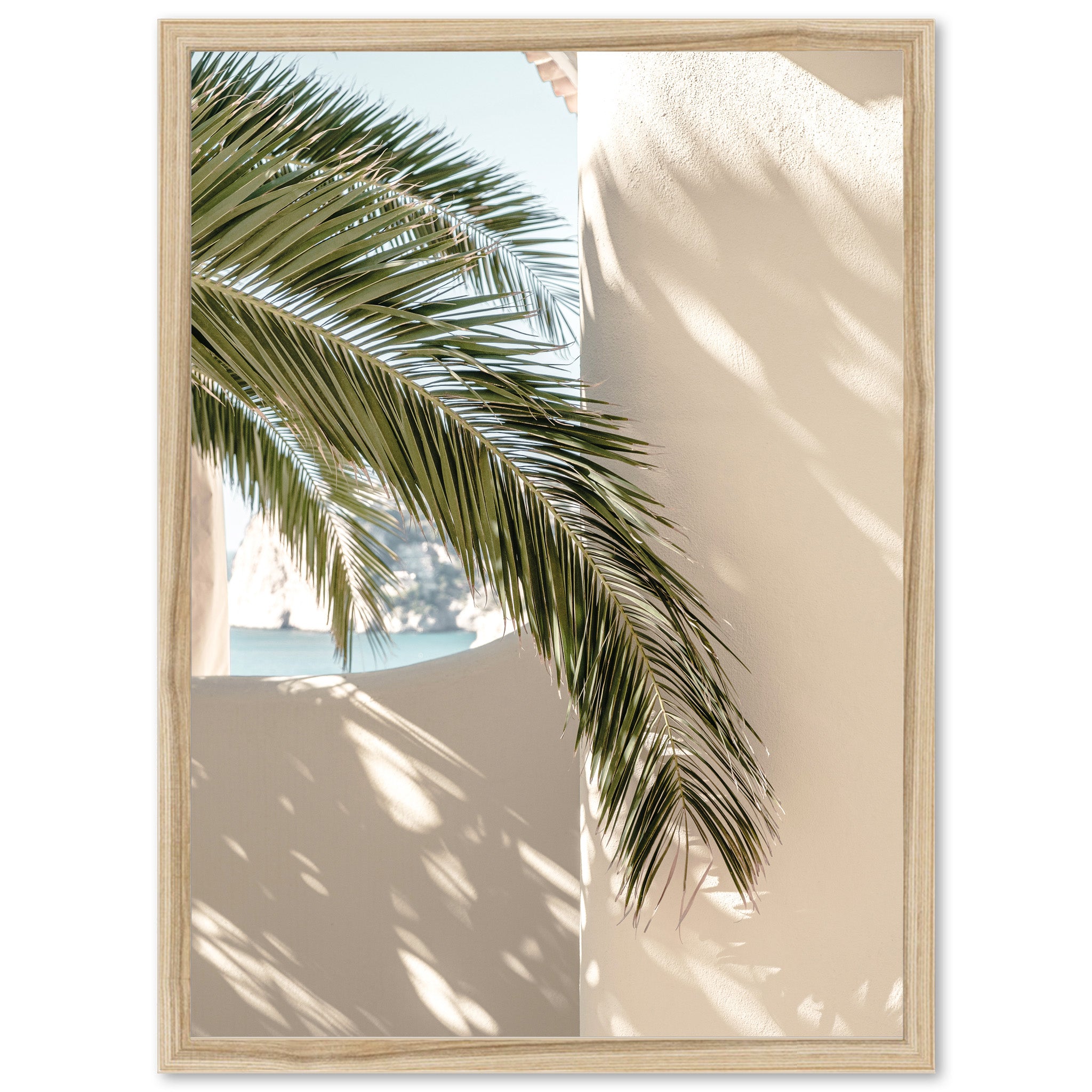 a palm tree in front of a white wall