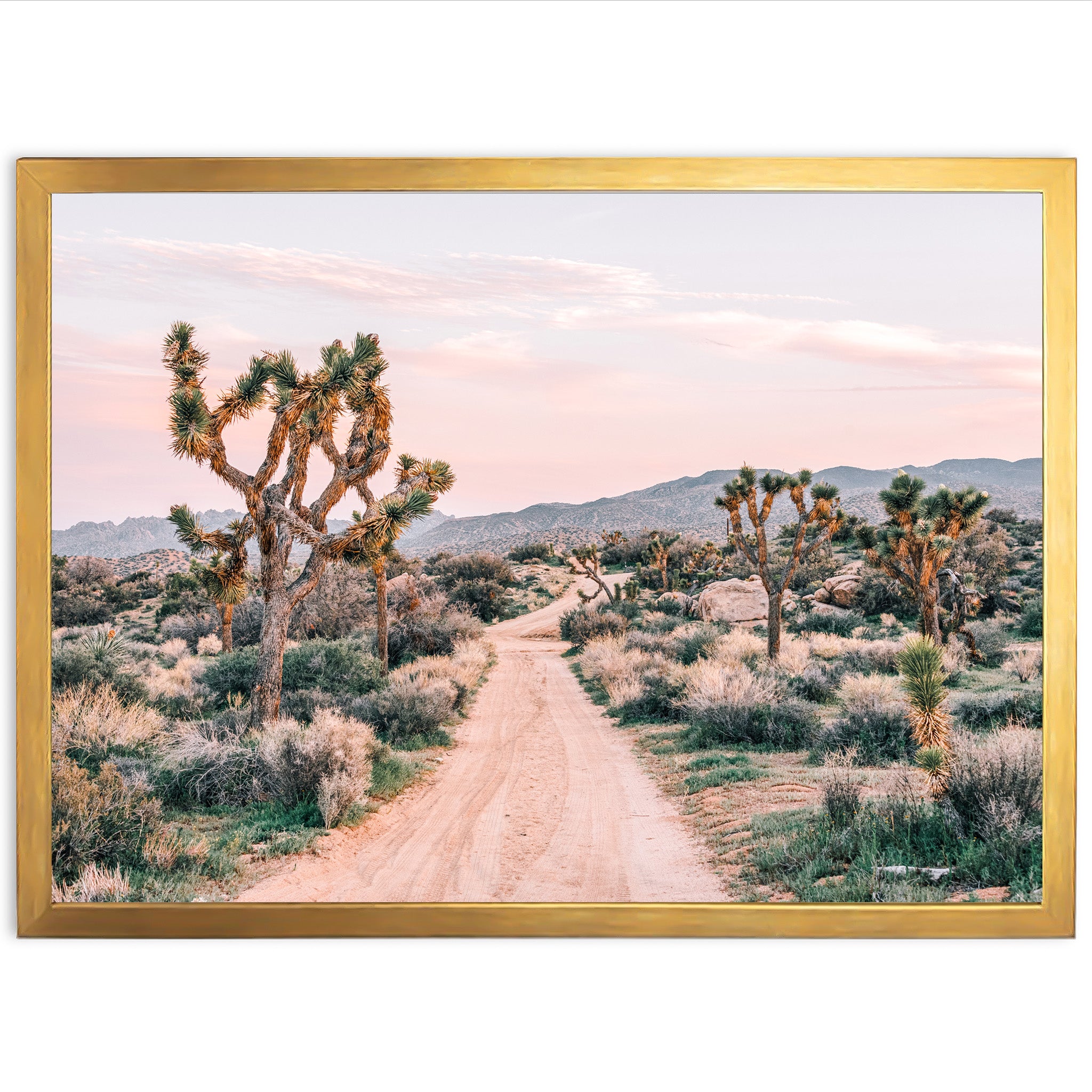 a picture of a dirt road in the desert