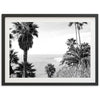 a black and white photo of palm trees and the ocean