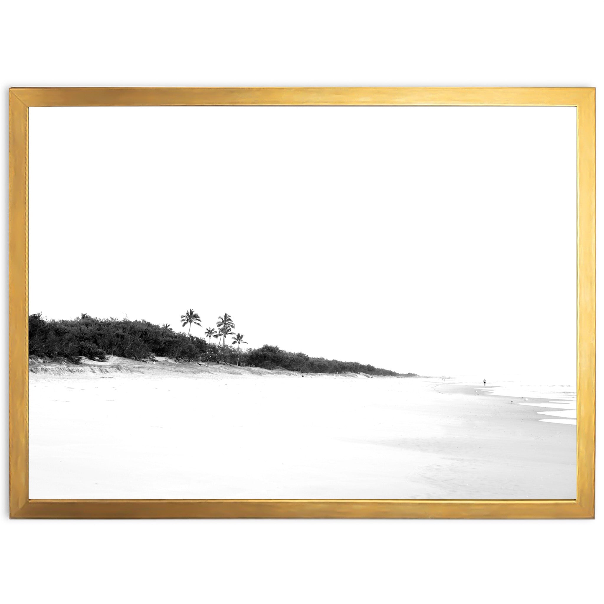 a black and white photo of a beach with palm trees