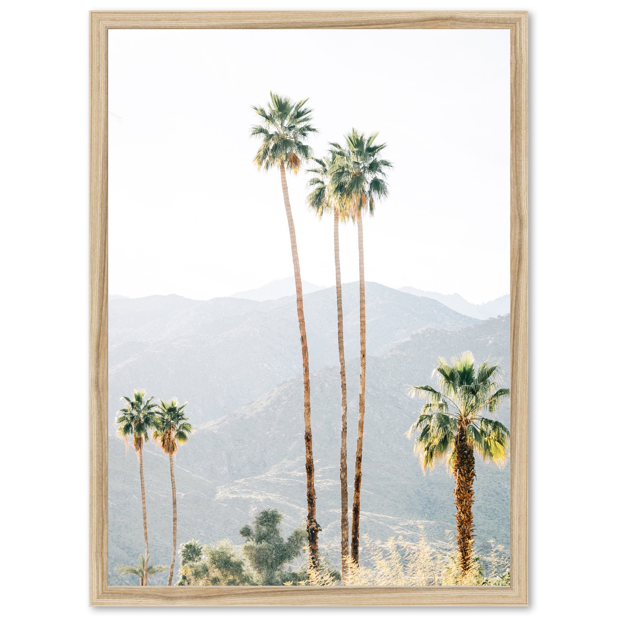 three palm trees in front of a mountain range