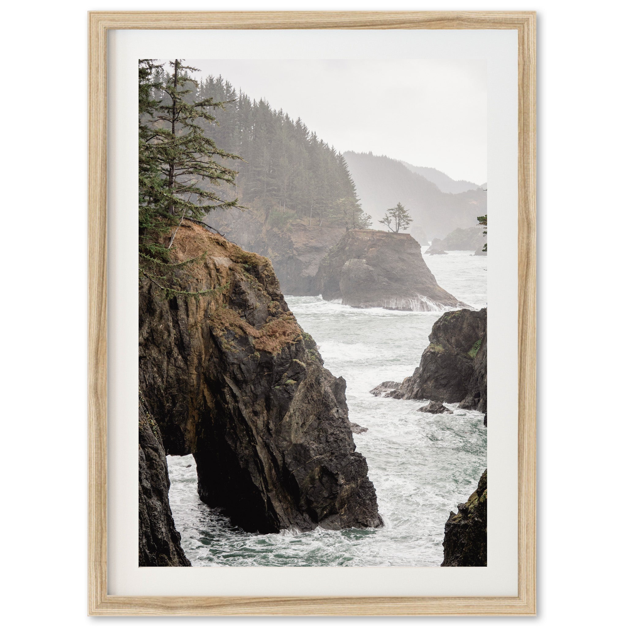 a picture of a rocky coast with trees on it