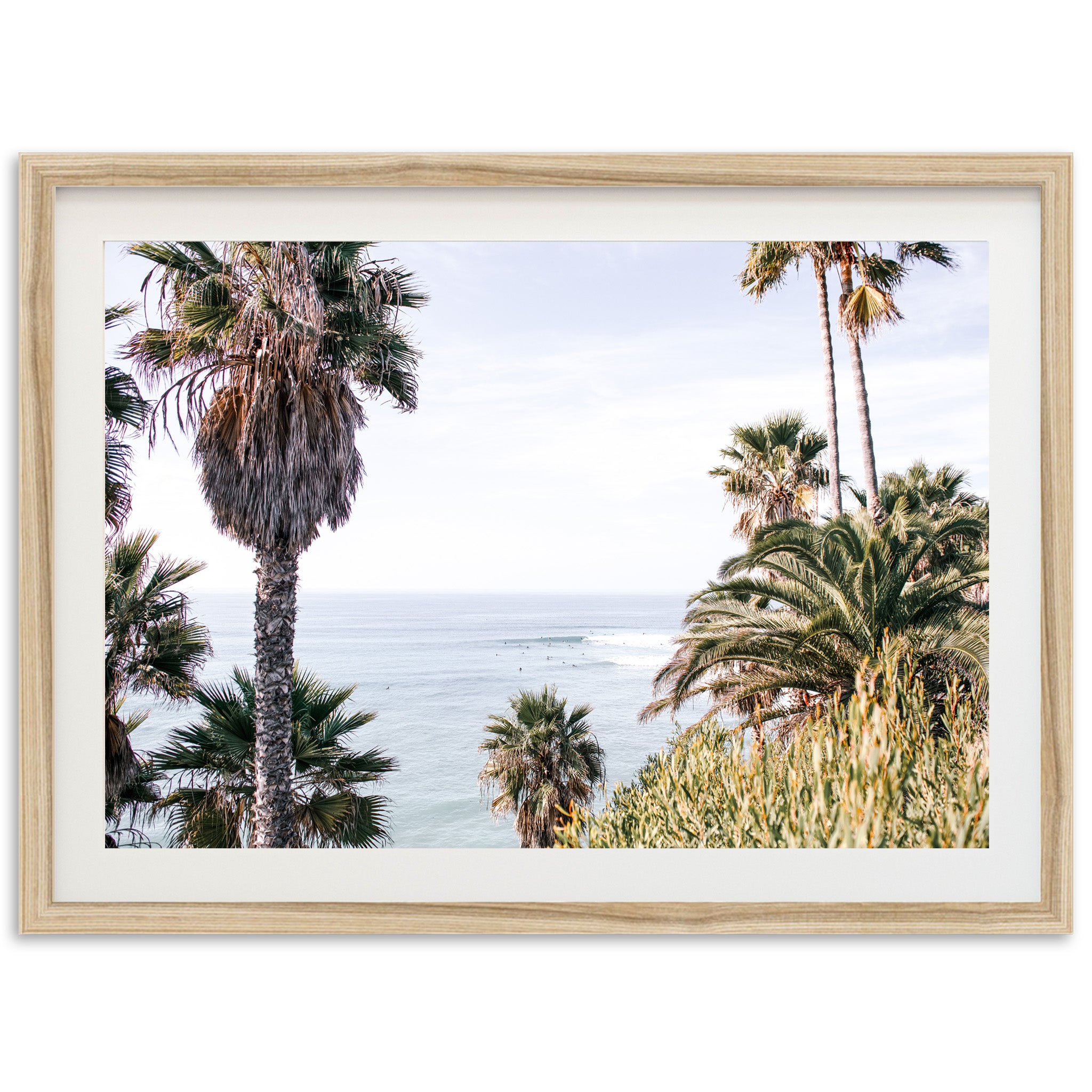 a picture of palm trees and the ocean