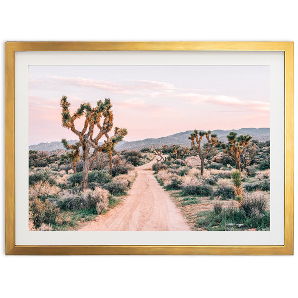 a picture of a dirt road in the desert