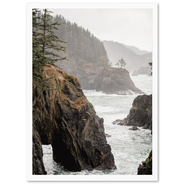 a picture of a rocky coast with trees