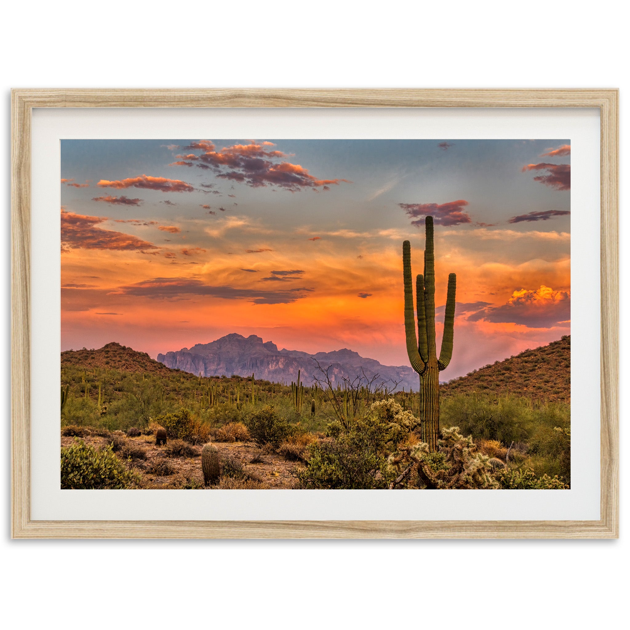 a picture of a sunset in the desert with a cactus in the foreground