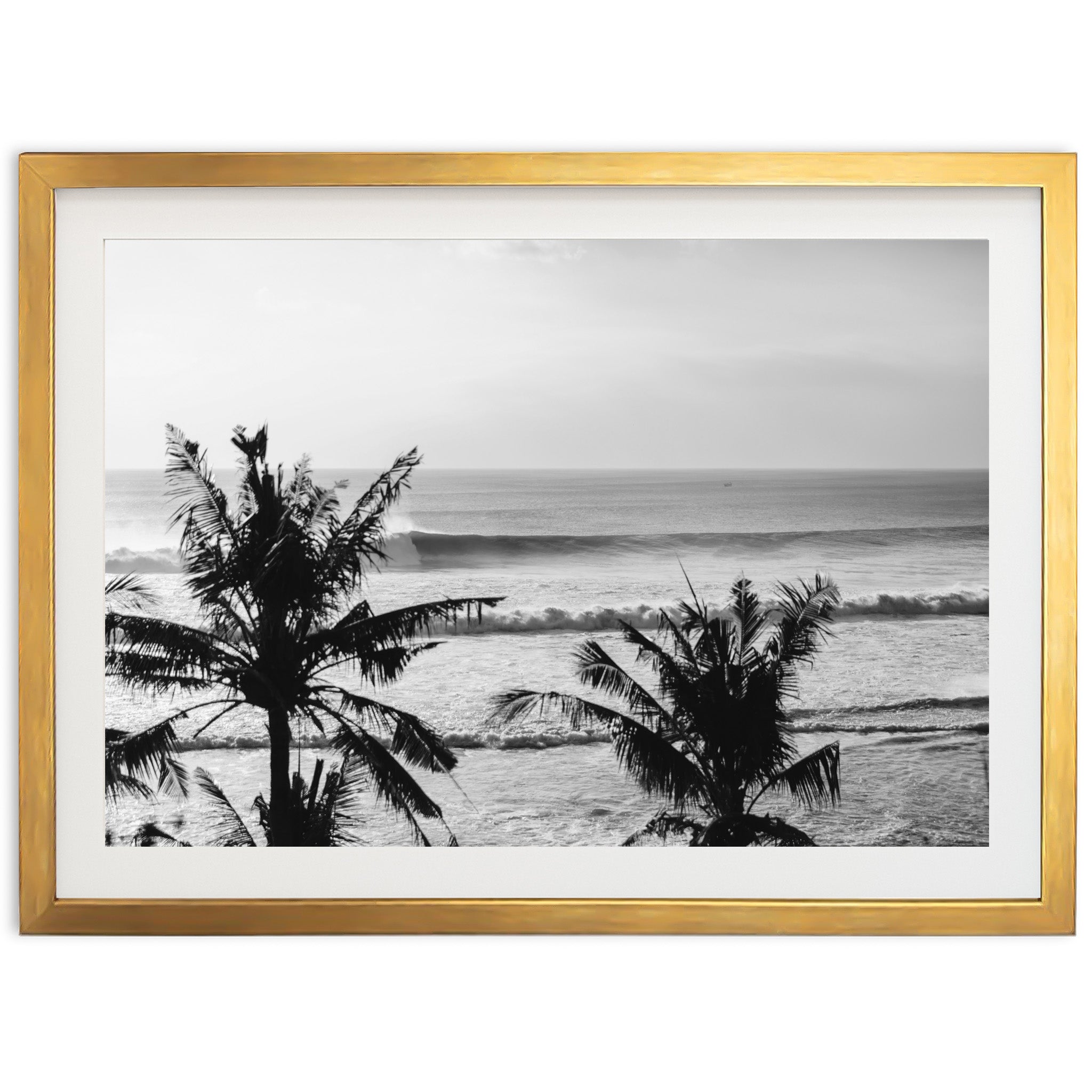 a black and white photo of a beach with palm trees