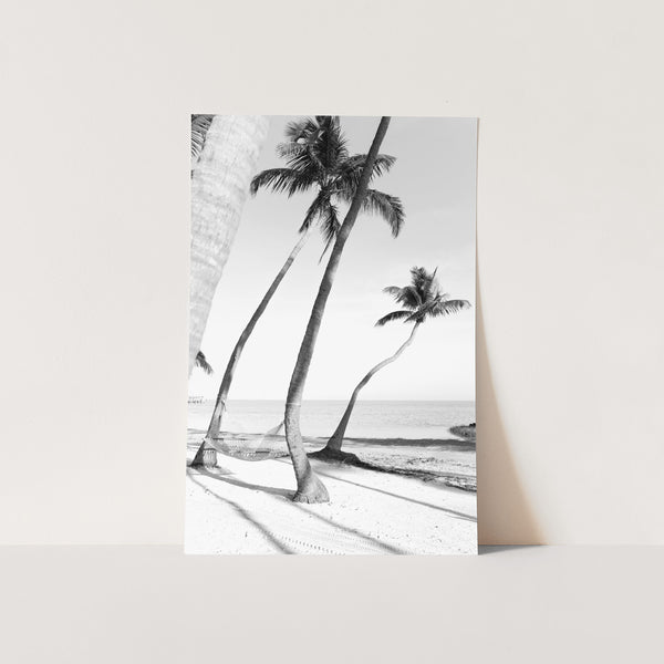 a black and white photo of palm trees on a beach