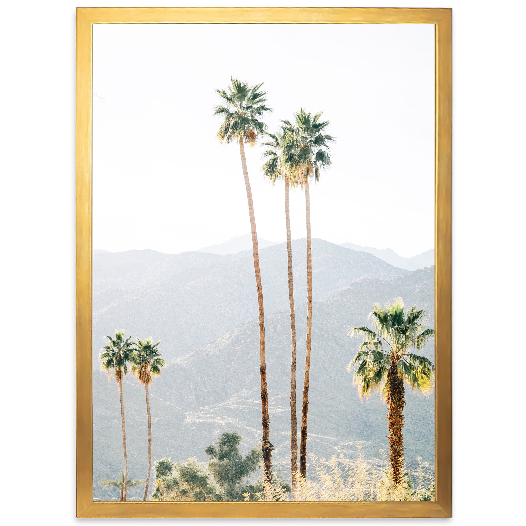 a picture of palm trees with mountains in the background