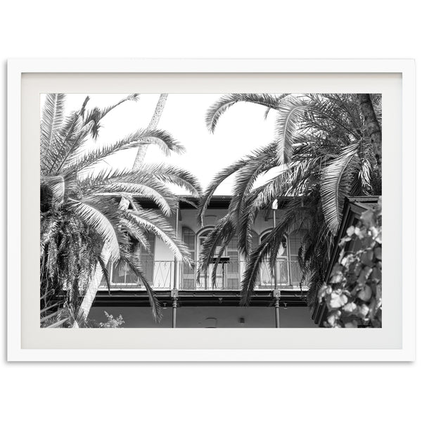 a black and white photo of palm trees in front of a house