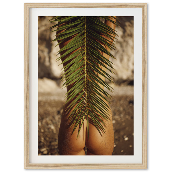 a picture of a palm leaf hanging from a wall