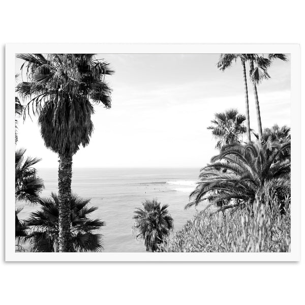 a black and white photo of palm trees and the ocean