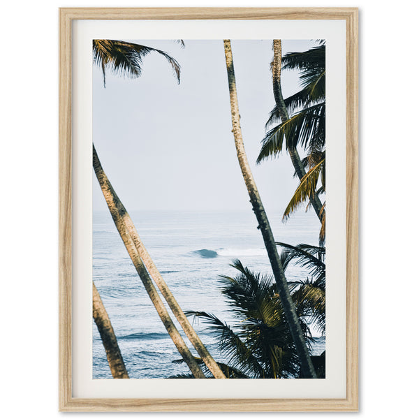 a framed photograph of palm trees and the ocean