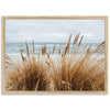 a picture of a beach with grass in the foreground