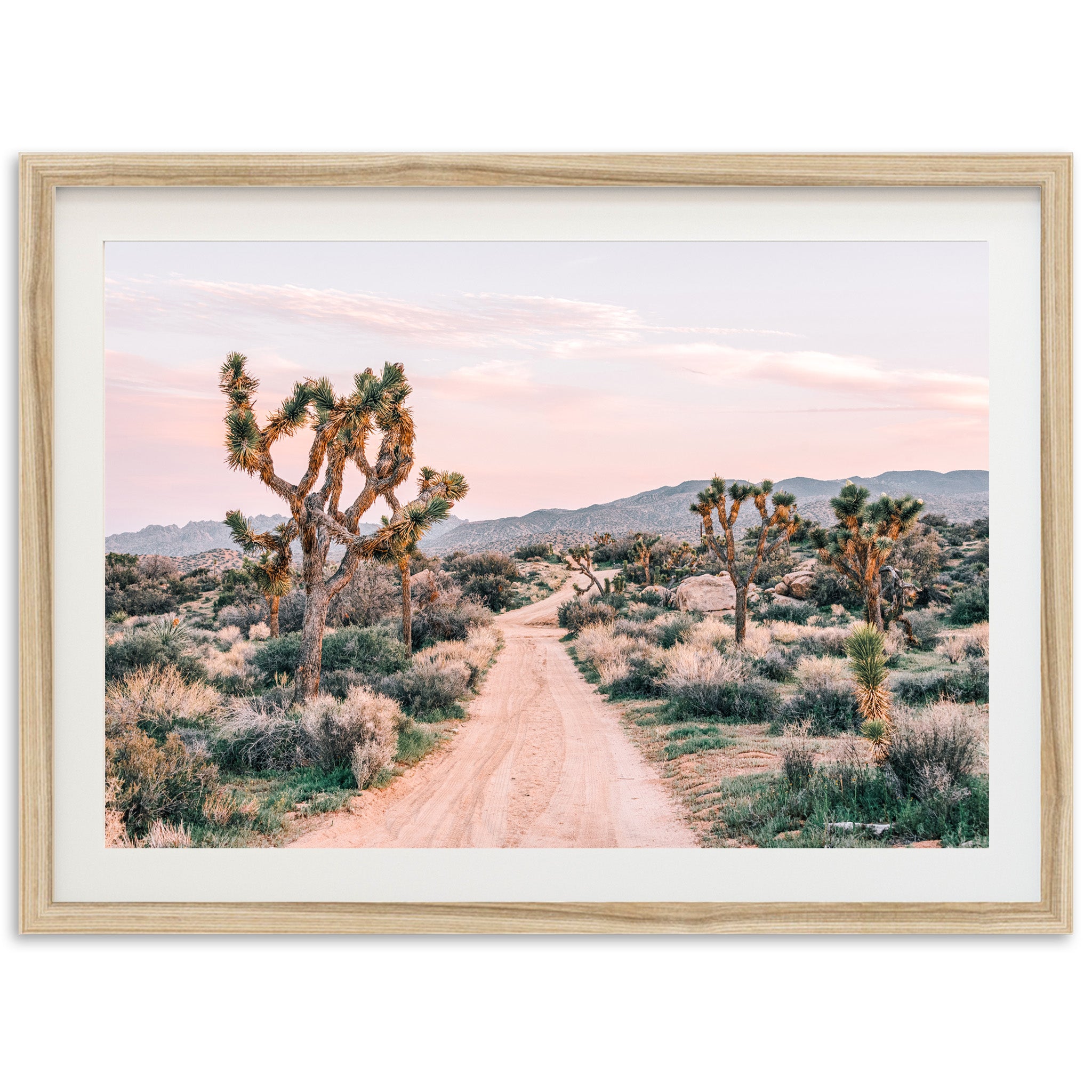 a picture of a dirt road in the desert