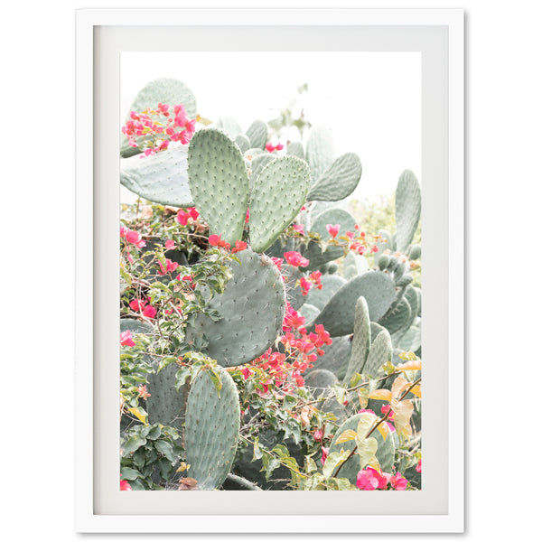 a picture of a cactus with red flowers