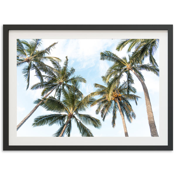 a framed photograph of palm trees against a blue sky