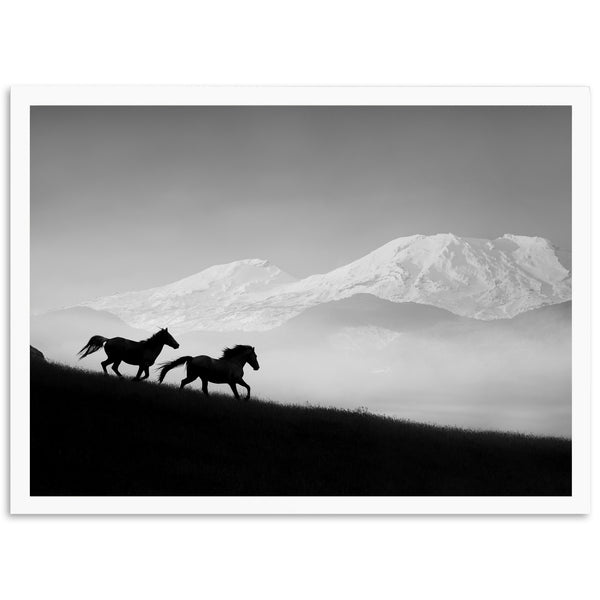 a black and white photo of two horses running