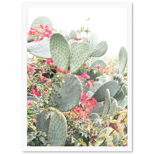 a bunch of cactus plants with red flowers