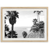 a black and white photo of palm trees and the ocean