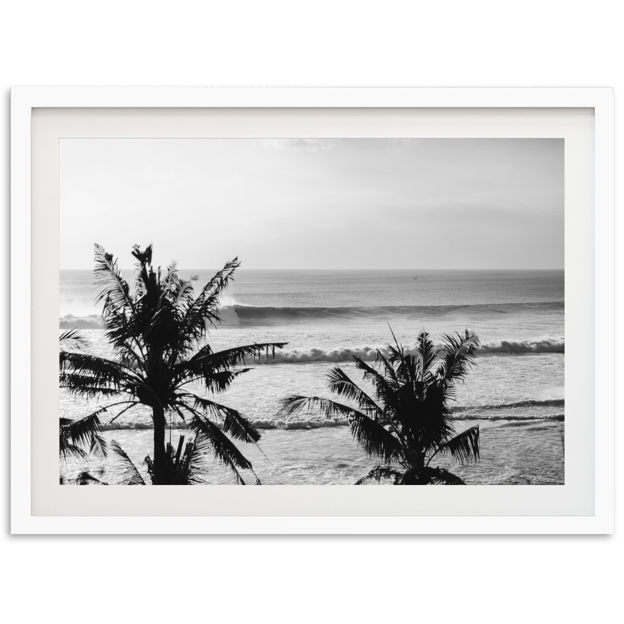 a black and white photo of a beach with palm trees