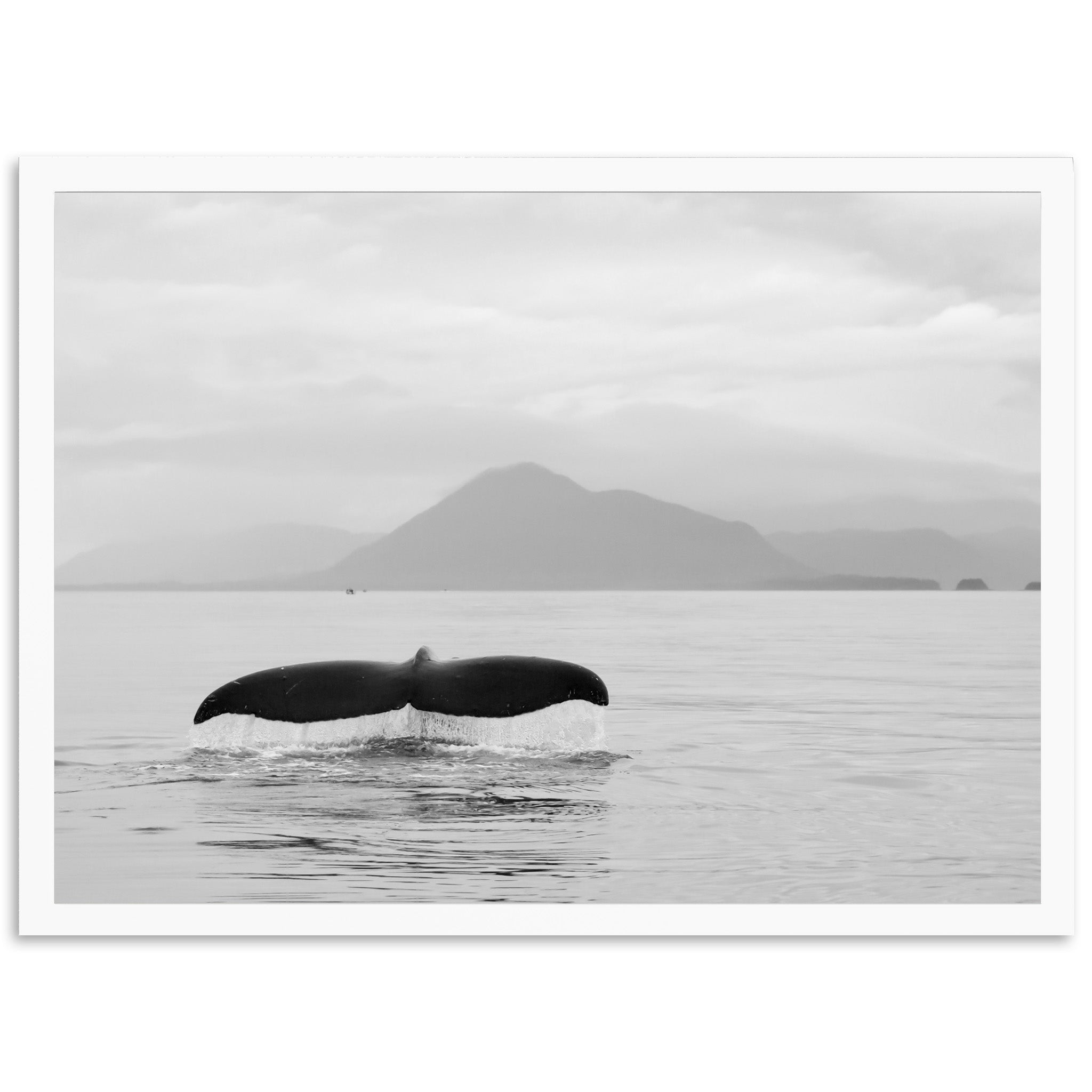 a black and white photo of a whale tail