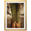 a picture of a palm leaf in a gold frame