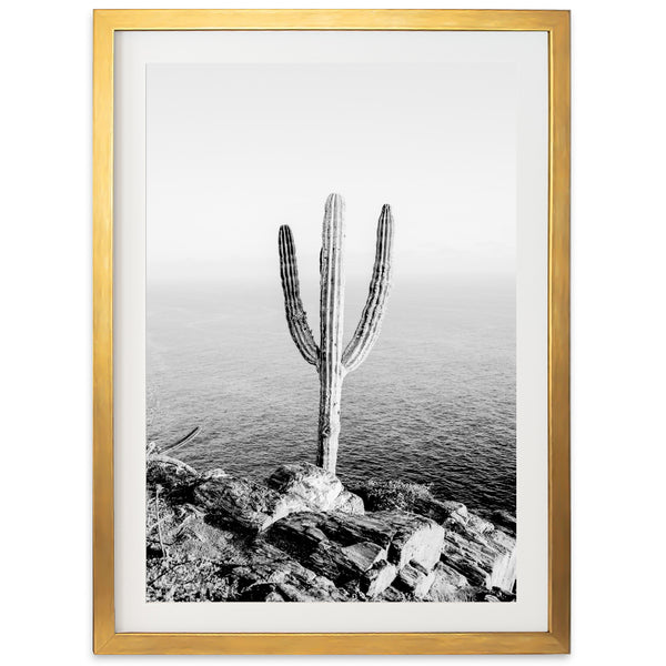 a black and white photo of a cactus by the ocean