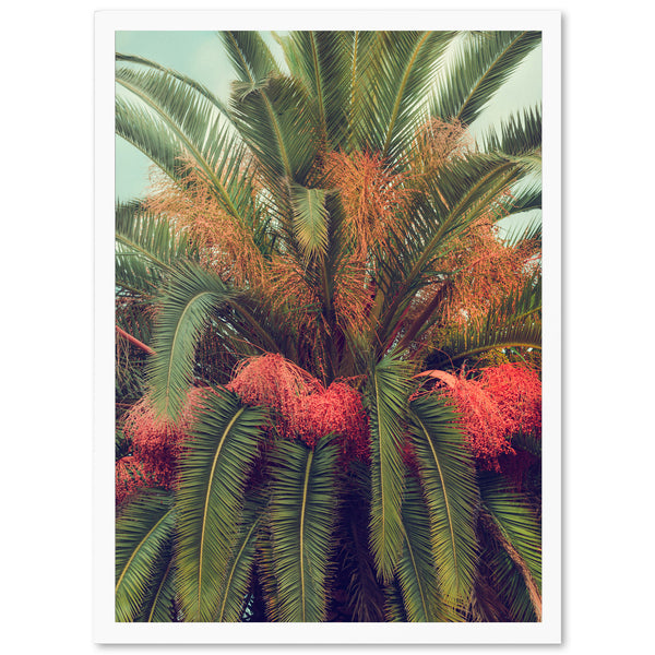 a palm tree with lots of red flowers