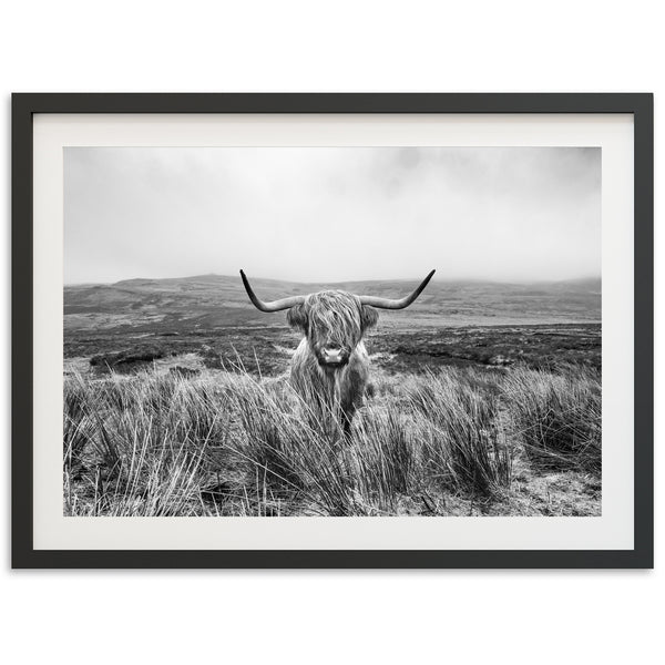 a black and white photo of a long horn cow