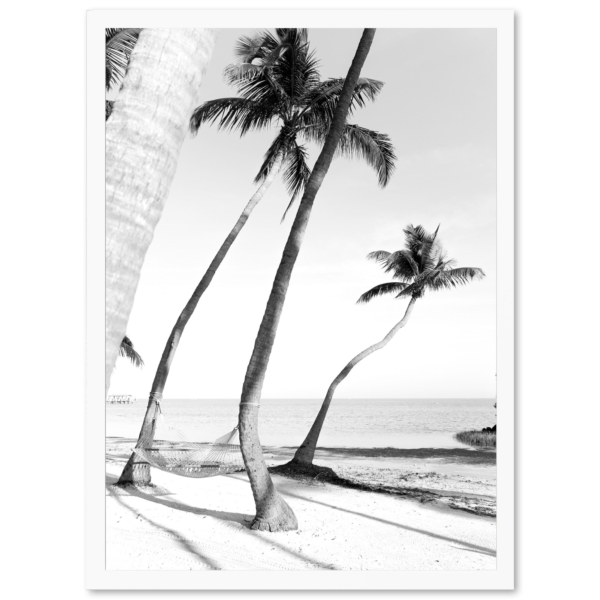 a black and white photo of palm trees on a beach