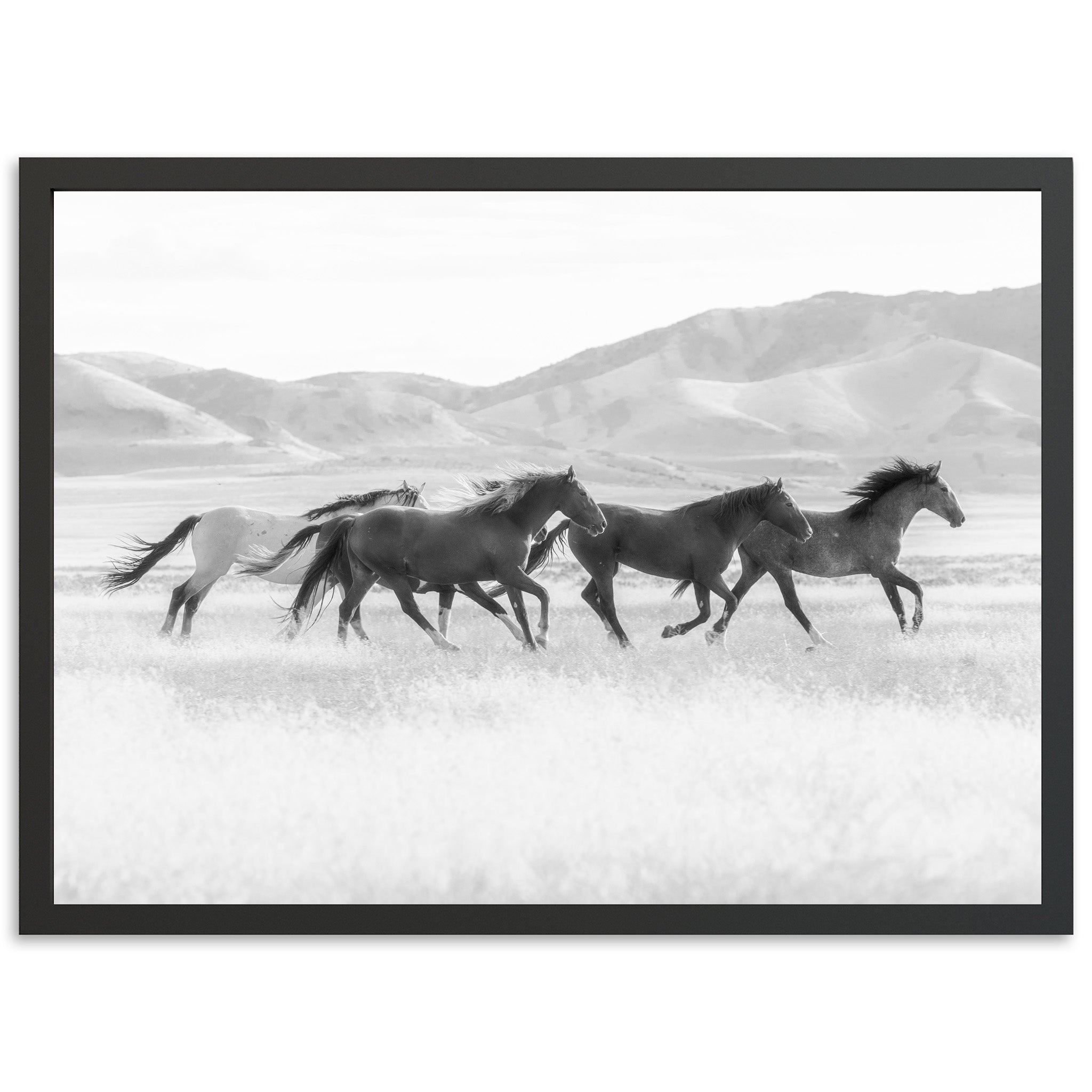 a group of horses running across a field