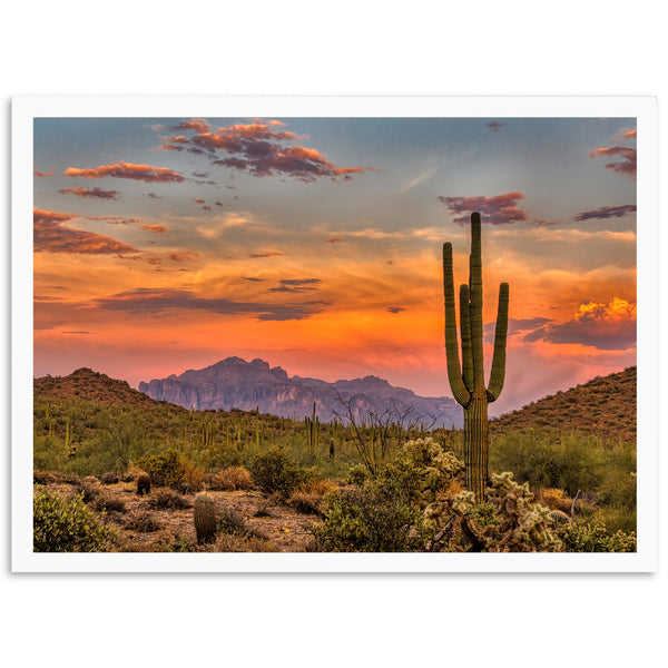 a desert scene with a cactus and mountains in the background