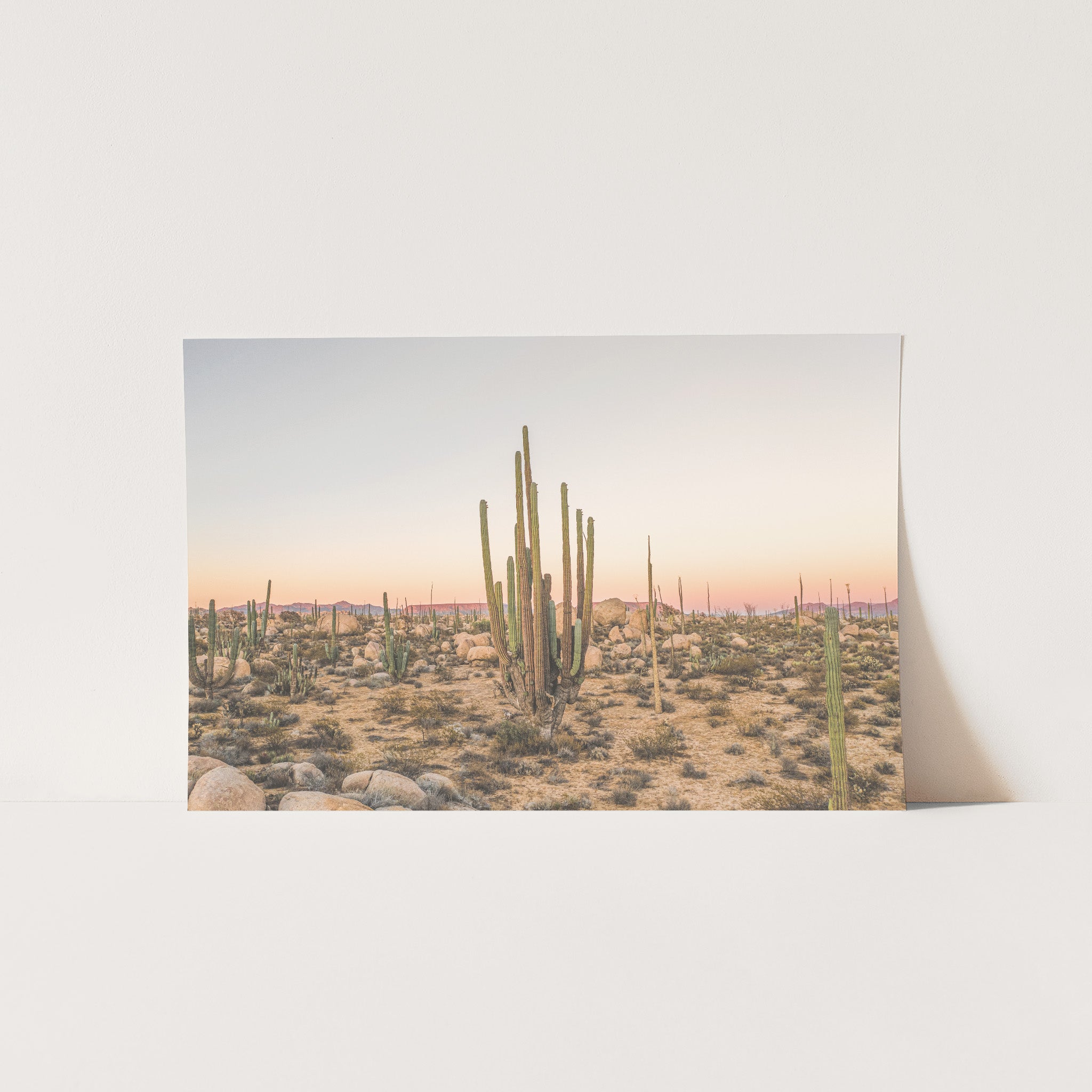 a picture of a desert with a cactus in the foreground