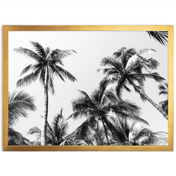 a black and white photo of palm trees